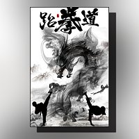 水墨武术跆拳道散打搏击招生培训宣传推广